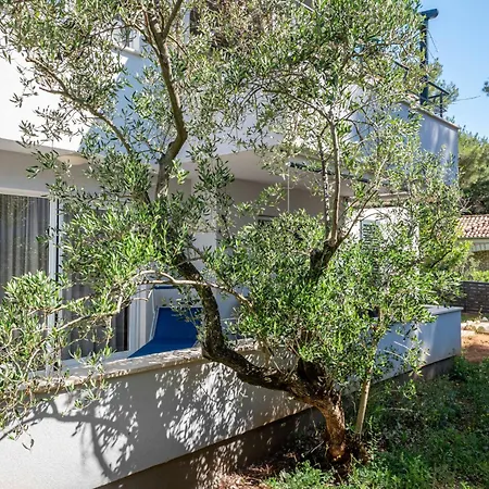 Casa vacanze Artatore By Interhome *